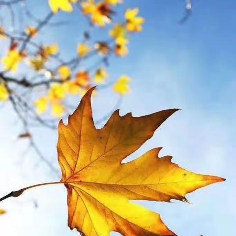 信德物业    十一月工作简报