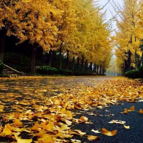 信德物业   九月工作简报