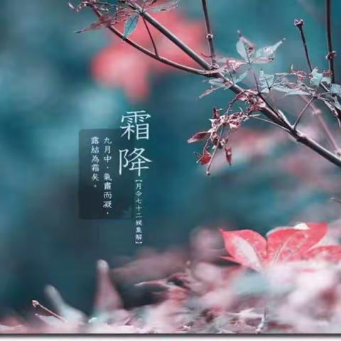 “秋叶霜落，幸福霜降”店子集街道春晓幼儿园中班开展迎“霜降”主题活动。