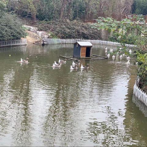 贴进自然～实战成才，沂龙湾小学五年级七班实战基地第四天