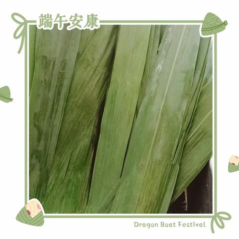 浓情端午，粽飘香