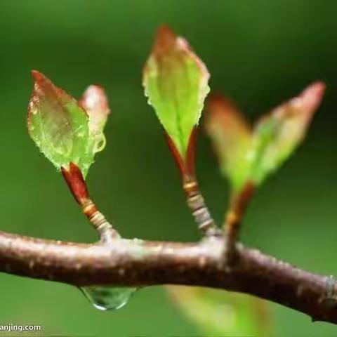 用文字记录心情~足迹小报习作展示