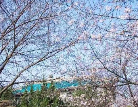 “共同战疫”我们一起努力