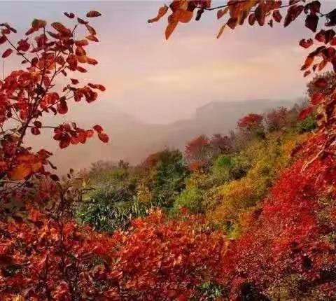 勇者户外俱乐部10月19/20日两日游/