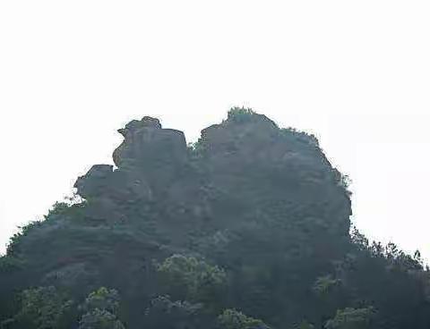 美丽的鸡公山，我们来了！