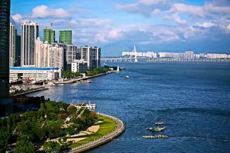 美丽的蛇口,我生活的地方。