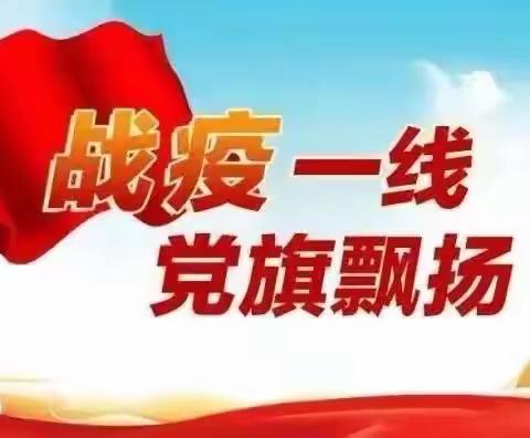 第十五小学党支部开展12月份“战疫一线党旗飘”特殊主题党日活动