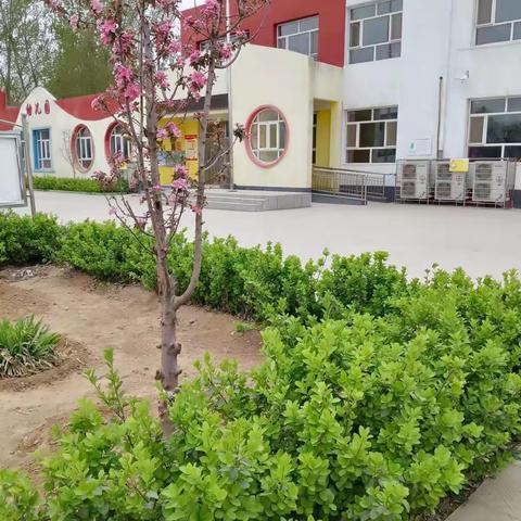 西幸村小学防溺水回顾