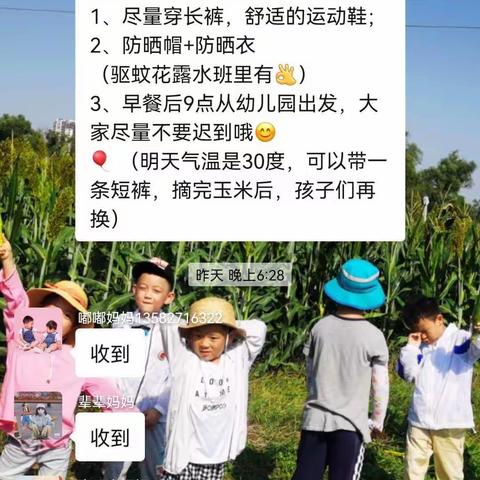 巧手摘玉米，快乐享丰收——友乐诚幼儿园锦鲤家