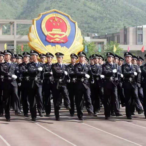 一天的观察日记——初2019级18班何蕊冰