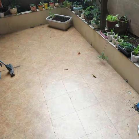 我在寒假做家务——初2019级18班     何蕊冰