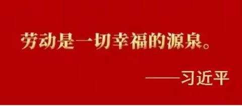 参与劳动实践，感受劳动之美——高新区实验学校劳动教育宣传周活动