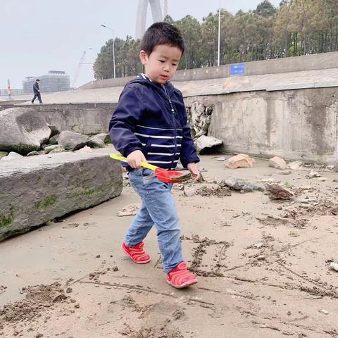 红黄蓝幼儿园红三班宅家日记