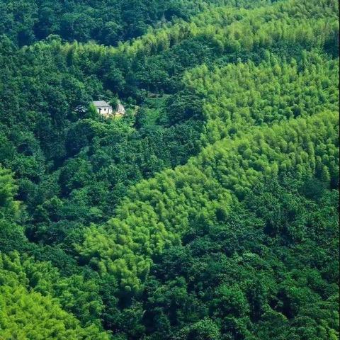 这世界那么多人