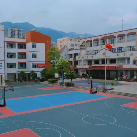 【八小.行而不辍  未来可期】第八周周记