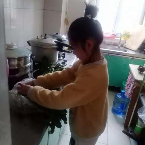 淄川经济开发区西山联校居家抗疫我行动，我是四年级一班韩雨濛，今天我做一道菠菜鸡蛋汤！首先把菠菜摘干净。