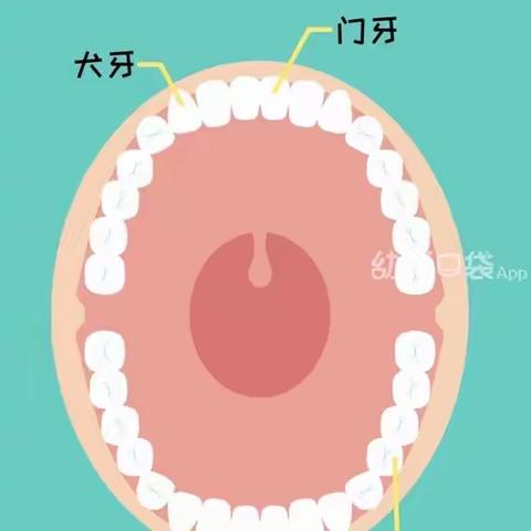 我是爱牙小标兵