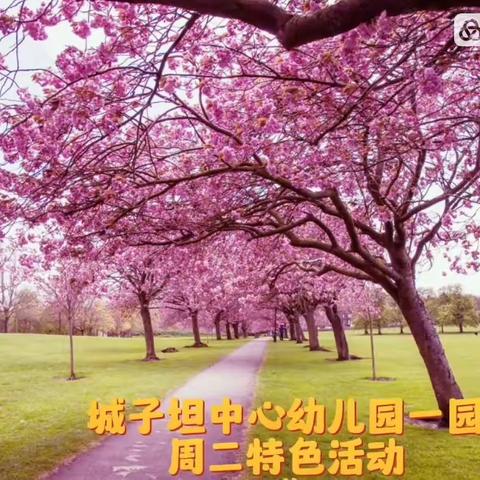 有温度，有关爱 兴趣孩子的兴趣～～城子坦中心幼儿园一园2023.4.11第四周特色活动纪实