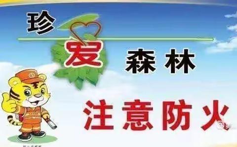 海伦市井家店林场的美篇