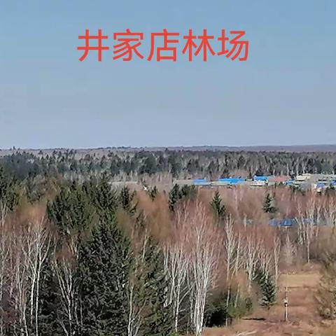 多措并举，防患未“燃”筑牢森林防火墙