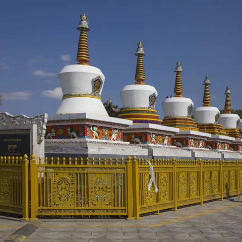 青  干  大  环  游