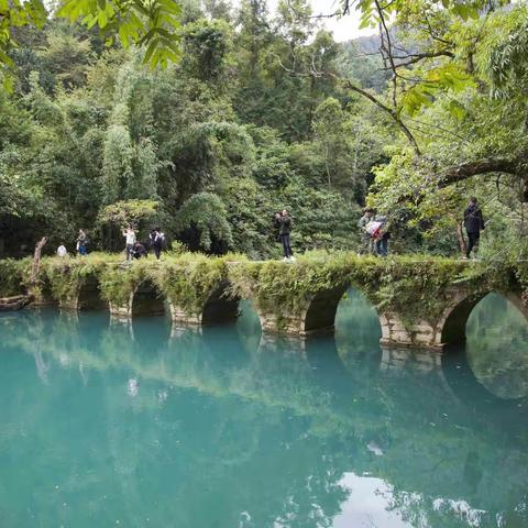 贵 州 行 （三）