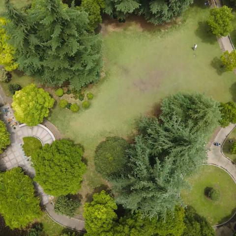 换一个角度看世界