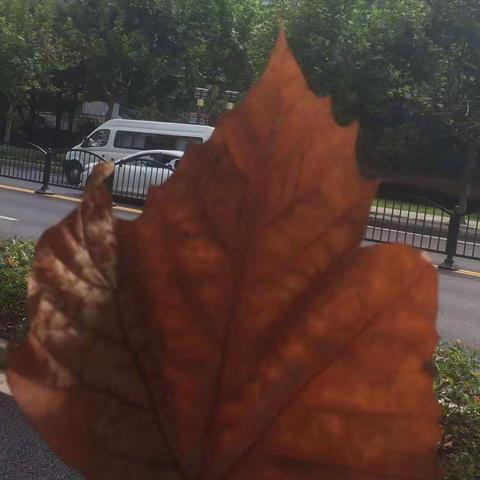 爱❤️心