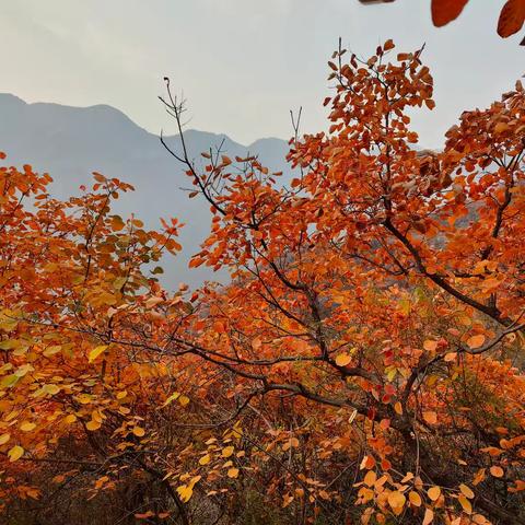 做一个完整的人