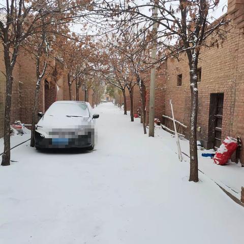 辛丑年初冬的飞雪