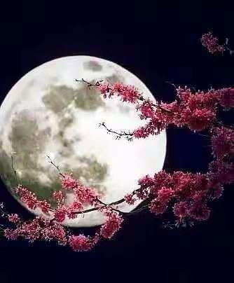 花好月圆