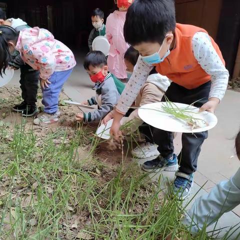 商城幼儿园附属长江东路幼儿园中一班开展“你好，小蜗牛”课程故事