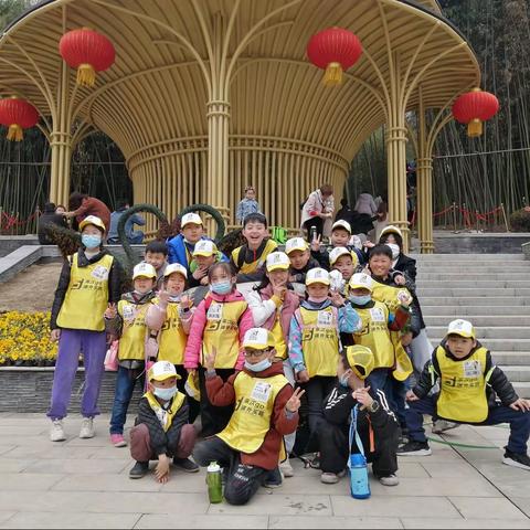 清明踏青｜研学“竹海野生动物园”之旅