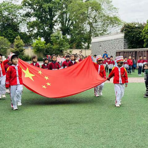 🌼元气满满 向阳而行☀️