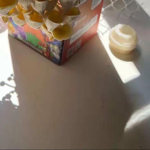 白同学的暑期植物养成记