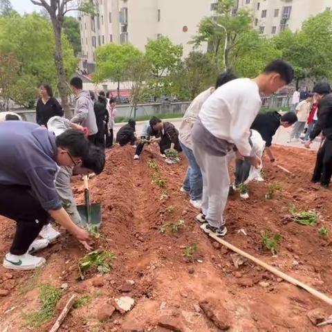 春满信中，“社”彩纷呈——28°N地理研学社活动剪影