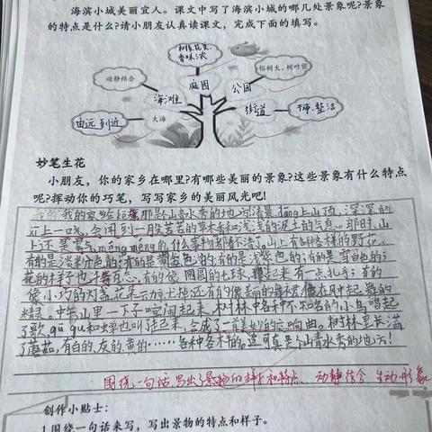 读《海滨小城》，写“家乡风光”