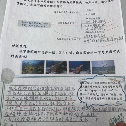 三上《富饶的西沙群岛》练笔作业展