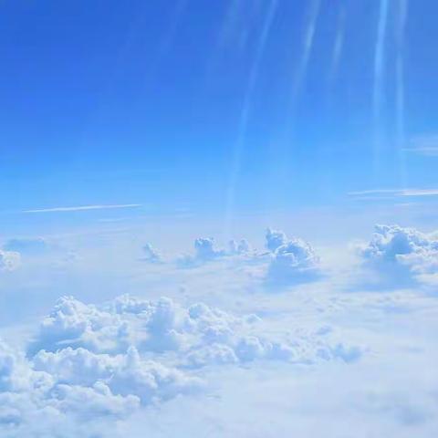 多彩暑假，劳动一“夏”——盐亭县玉龙镇中心小学暑期劳动实践篇