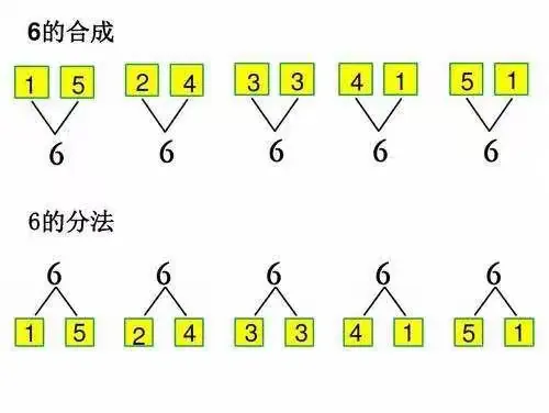 菠萝班数学第一课《6的分解和组成》