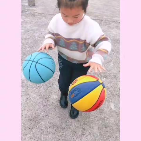 立新幼中三班——一周精彩学习生活