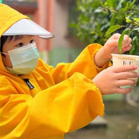 英蓝中铁幼儿园——“雨”你一起玩踩雨活动小记