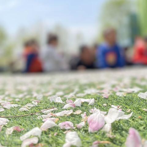 七彩种植园——小二班油菜花田