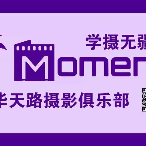 【芳华天路摄影俱乐部】2022年2月6日虎年新春醉白池、花开海上一日行美篇精选