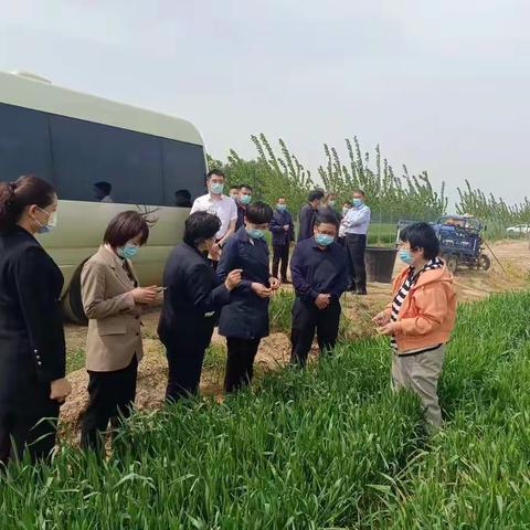 菏泽市副市长曹临来我县调研小麦条锈病防控工作