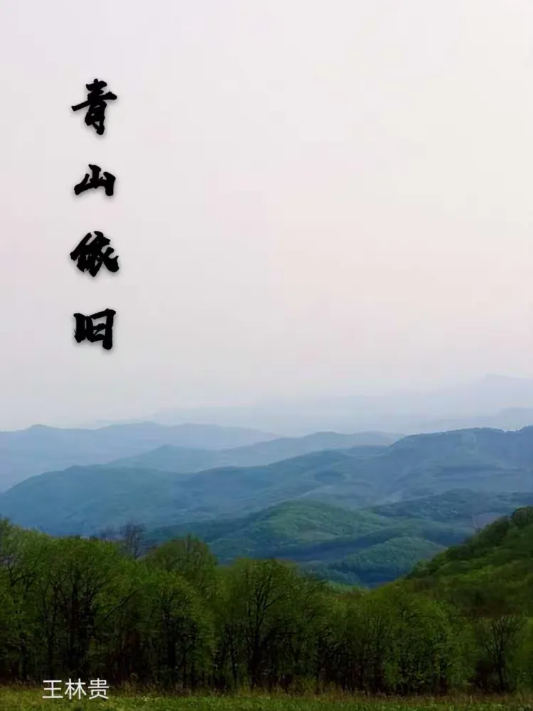 我见青山多妩媚，青山见我亦如是