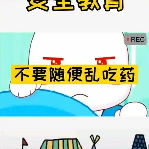 中班线上活动安排4