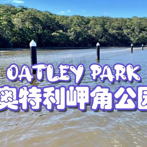 奥特利岬角公园 Oakley Park