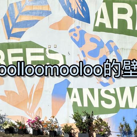 Woolloomooloo的壁画