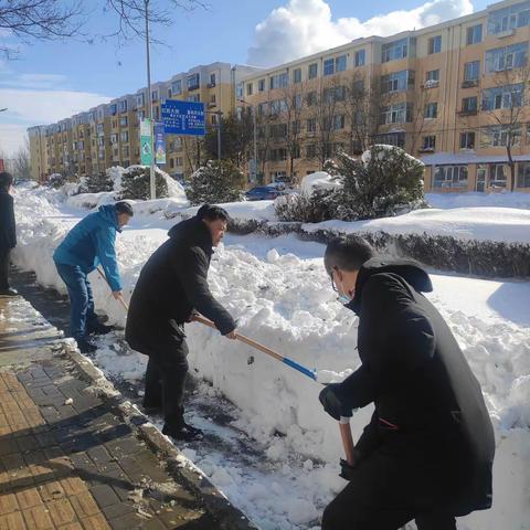 雪中送炭 ，情满人间——通辽市林草局组织全体干部职工开展道路清雪除冰义务劳动